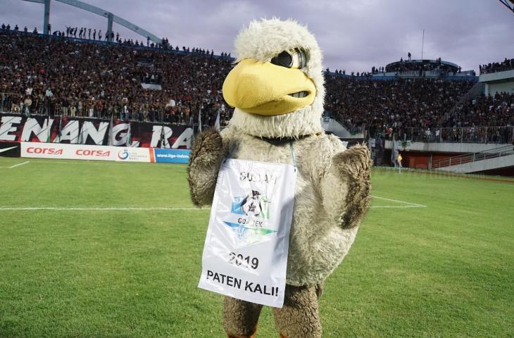 Maskot PSS Sleman, Falcao berfoto usai PSS Sleman dipastikan promosi ke Liga 1 2019 (Stephanus Aranditio/www.mxkc.sbs)