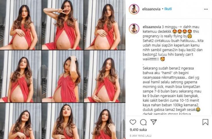 Istri Kim Jeffrey Kurniawan, Elisabeth Novia